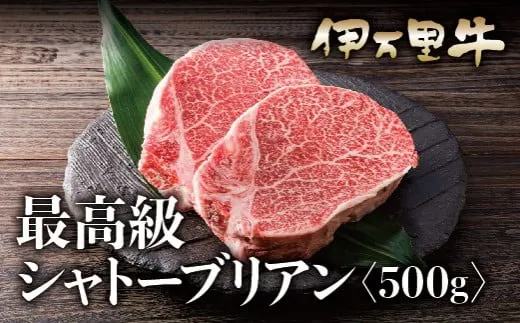 伊万里牛 赤身 シャトーブリアン 2枚×250g